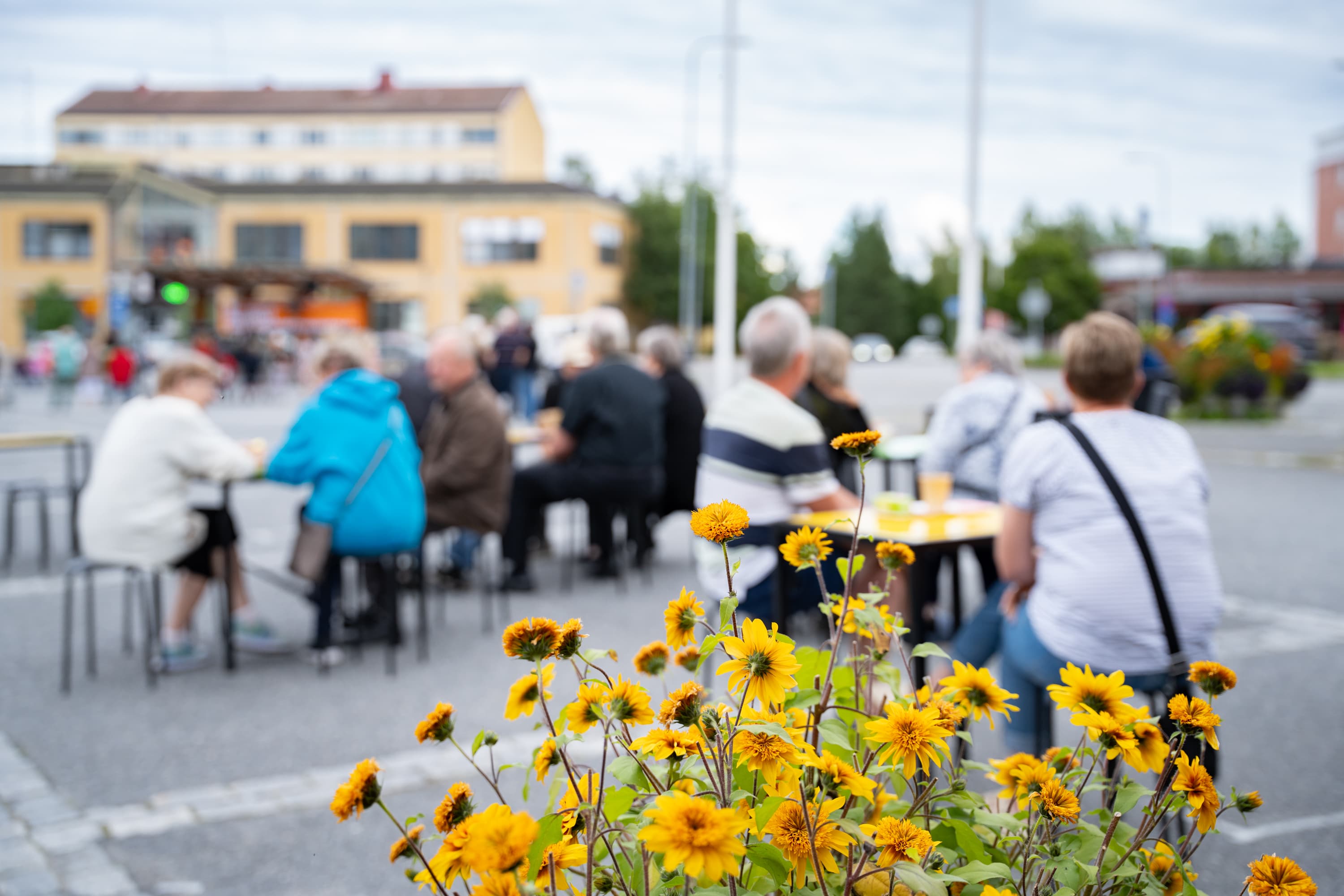 Toritunnelmaa